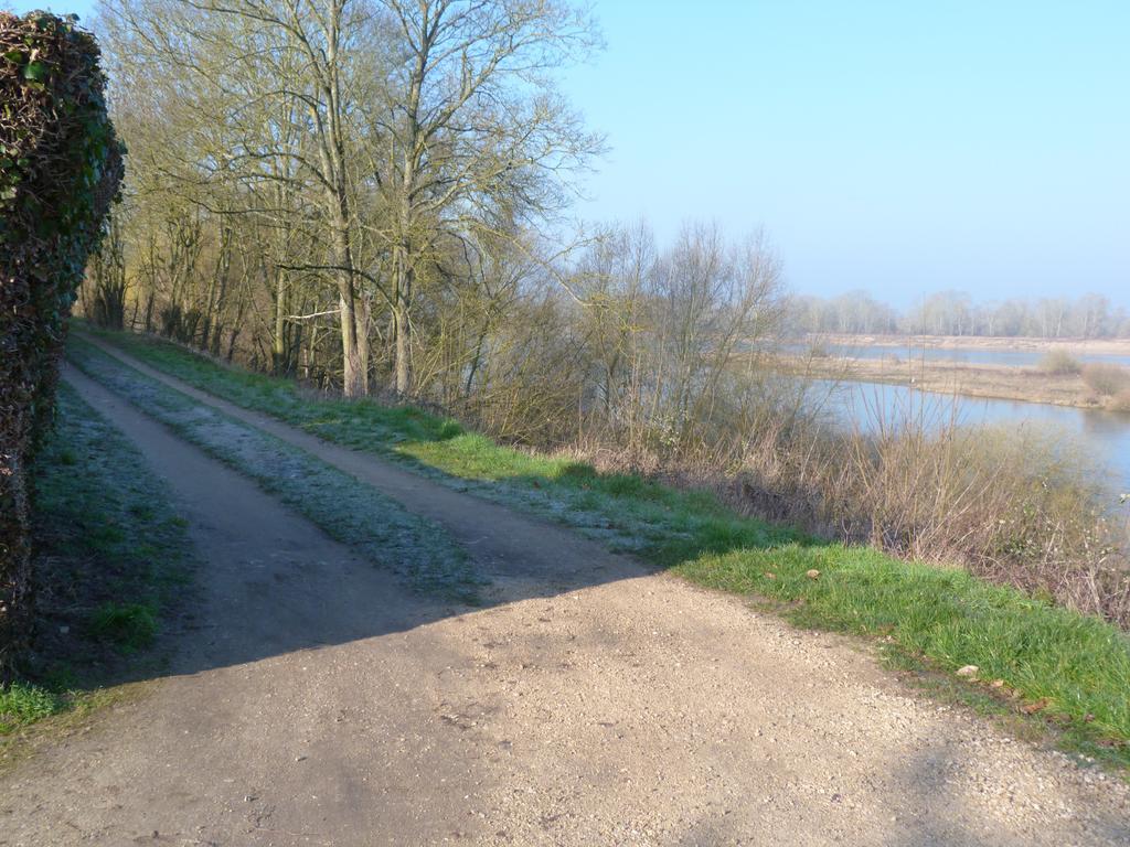 Les Gites De Colliers Muides-sur-Loire Værelse billede