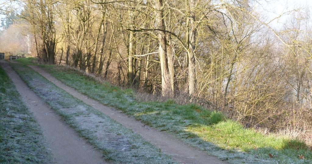 Les Gites De Colliers Muides-sur-Loire Værelse billede