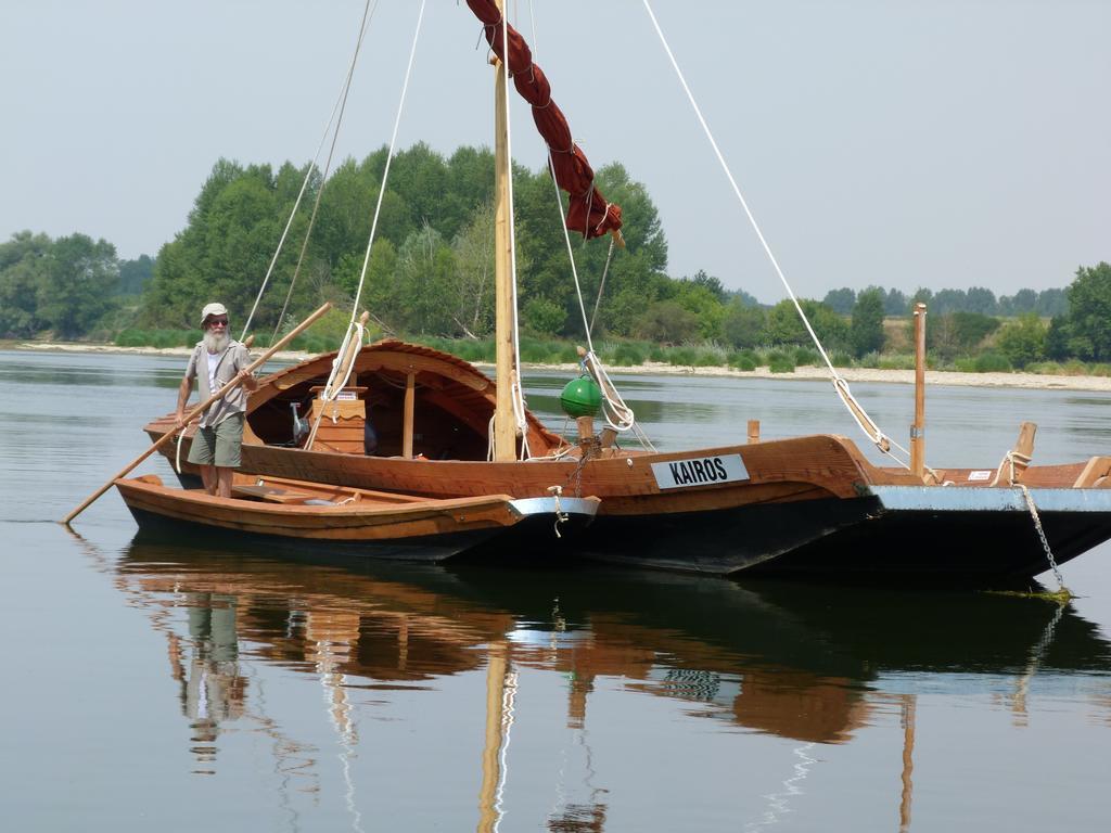 Les Gites De Colliers Muides-sur-Loire Eksteriør billede